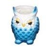 DIVINE SHOP-CERAMIC OWL FACE HOME DECORATIVE PLANTER POT-BLUE