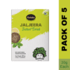 Gulabs-Jaljeera Instant Drink-20 gm Each Pack (Pack of 5)