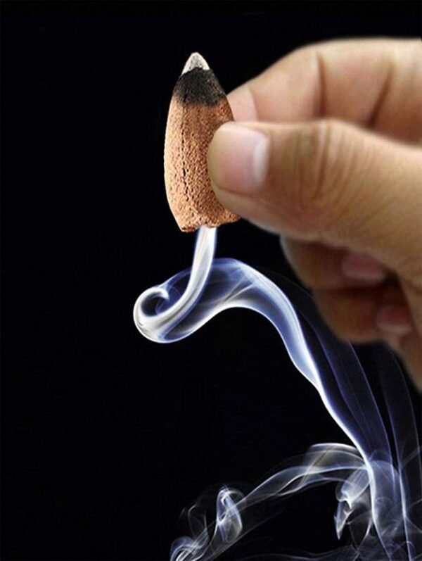 Beckon Venture-Handcrafted Lord Ganesha Backflow Incense Burner-Gold