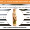 Prisha India Craft-Pure Copper Sipper Water Bottle-Brown (1000 ml)