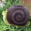 Beckon Venture-Handcrafted Cute Snail Shape Planter-Multicolor