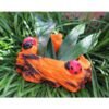 Beckon Venture-Handcrafted Cute Beetle Shaped Planter-Multicolor