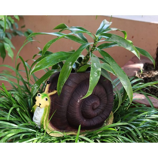 Beckon Venture-Handcrafted Cute Snail Shape Planter-Multicolor